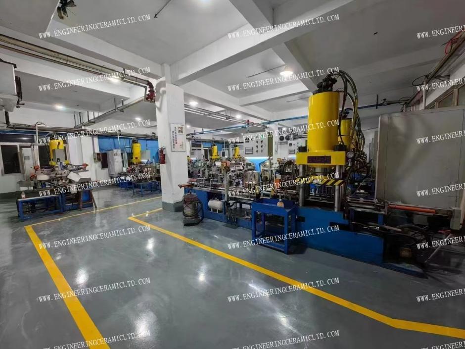 Célébrons l'année du cheval !